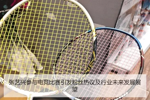 张艺兴参与电竞比赛引发粉丝热议及行业未来发展展望